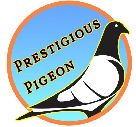 Prestigious Pigeon Logo